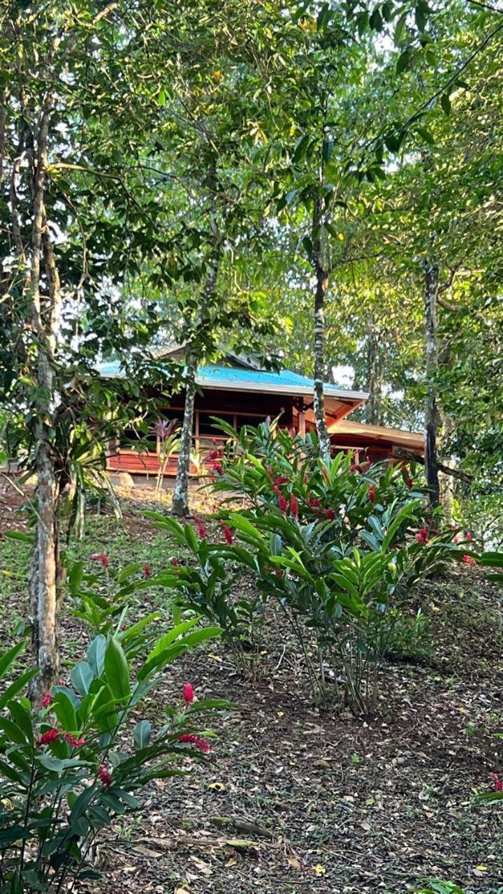 The Gap Akwaba Lodge חדר תמונה